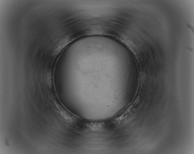 X0000093450345200710121359