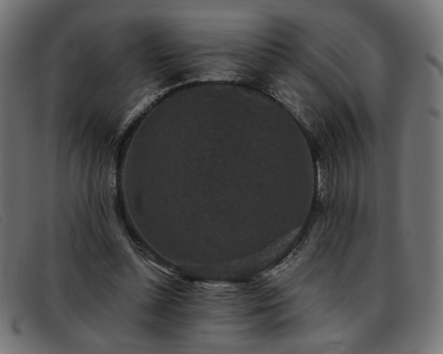 X0000093450348200710121359