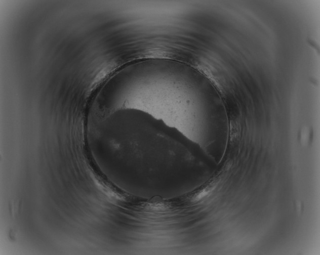 X0000093450349200710121359