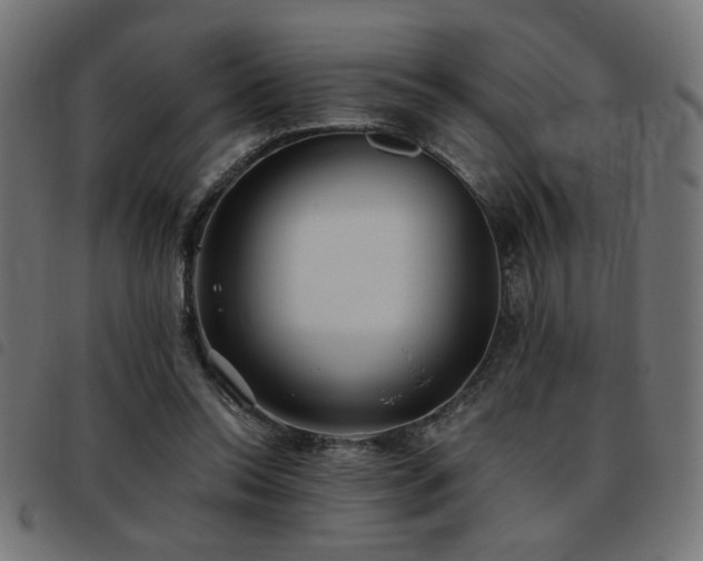 X0000093450350200710121359