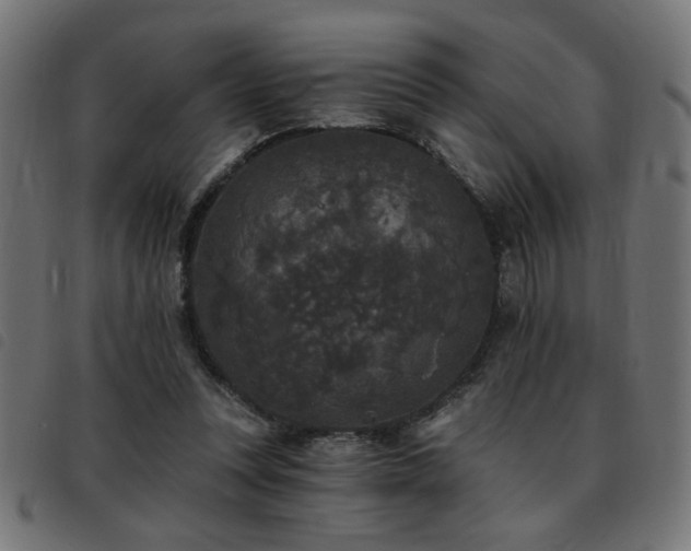 X0000093450351200710121359