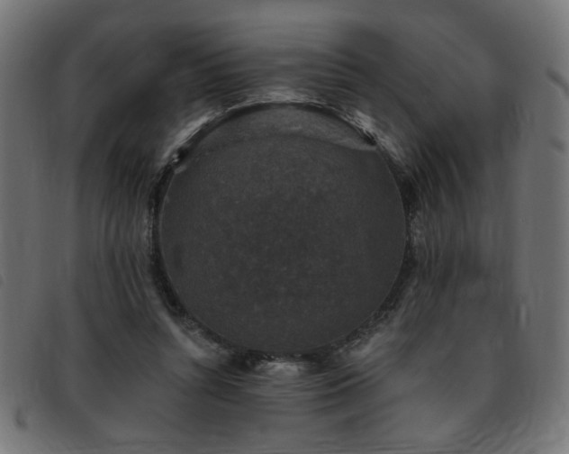 X0000093450352200710121359