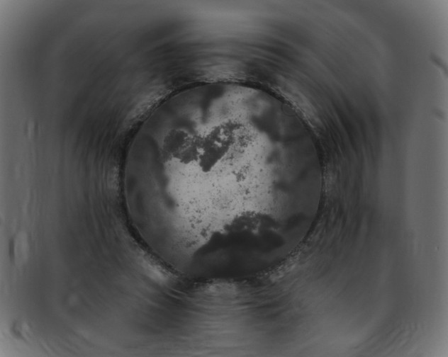 X0000093450353200710121359