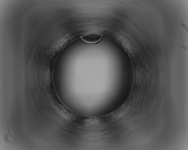 X0000093450354200710121359