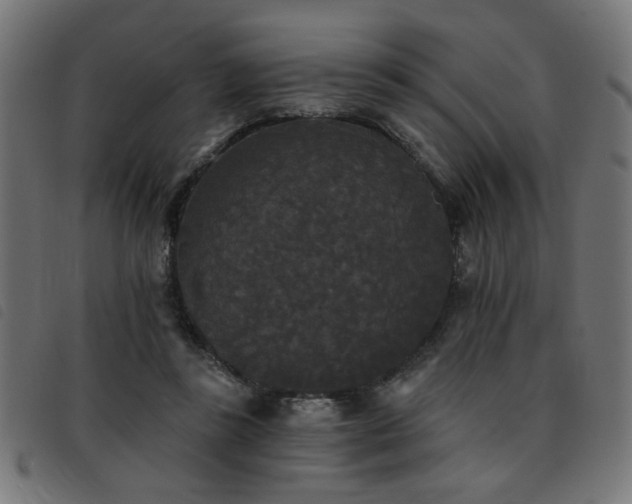 X0000093450355200710121359