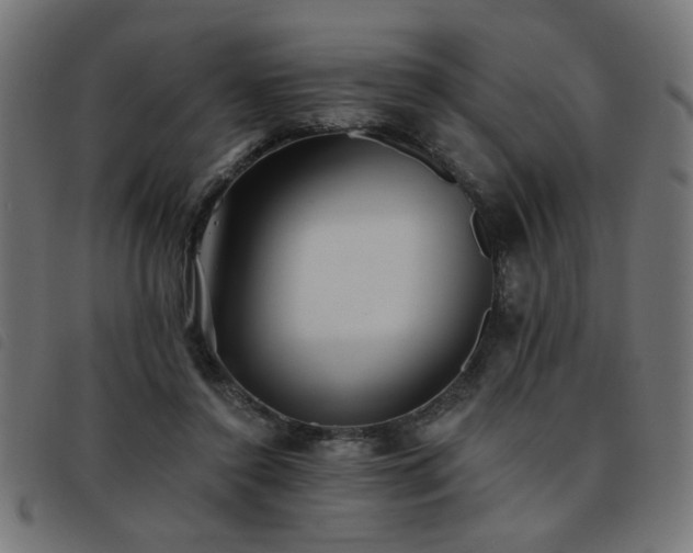 X0000093450356200710121359