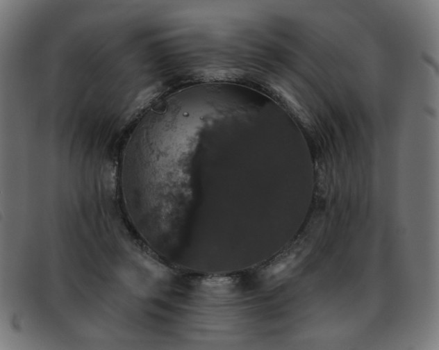 X0000093450357200710121359