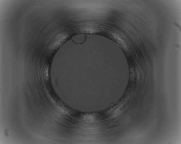 X0000093450358200710121359