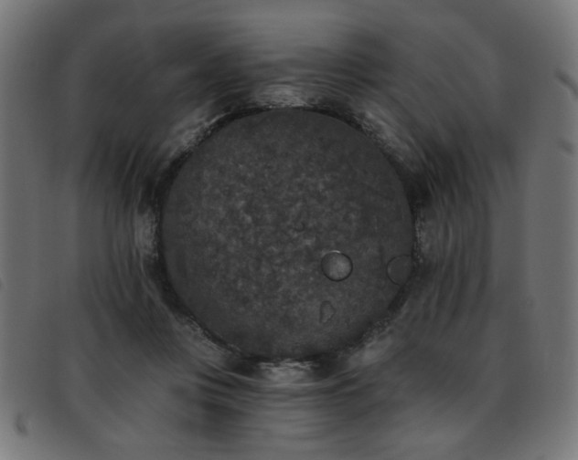 X0000093450359200710121359