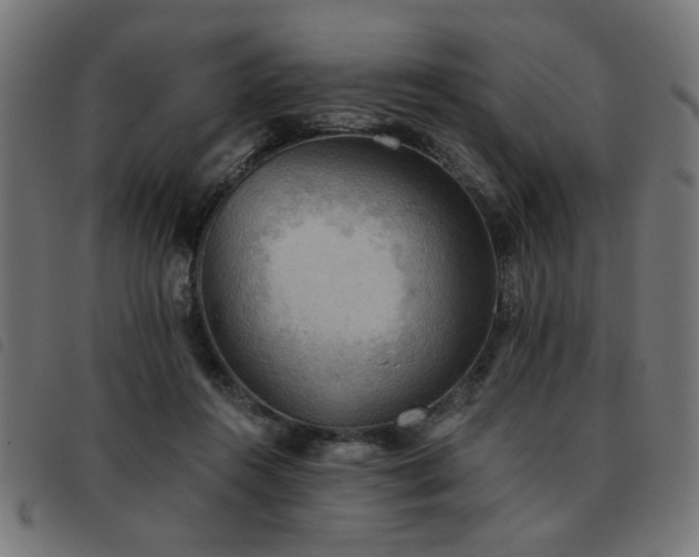 X0000093450360200710121359