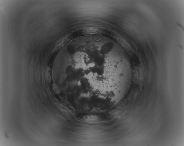 X0000093450361200710121359