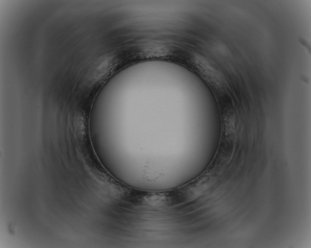 X0000093450362200710121359