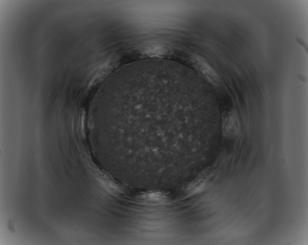 X0000093450365200710121359
