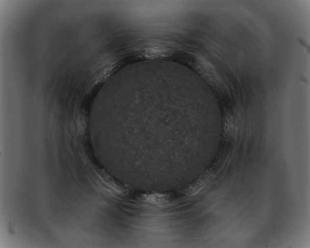 X0000093450367200710121359