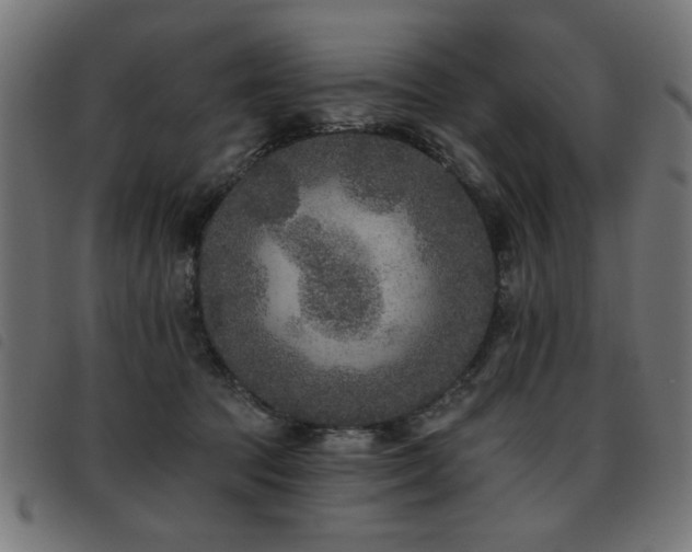 X0000093450369200710121359