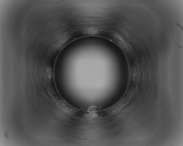 X0000093450374200710121359