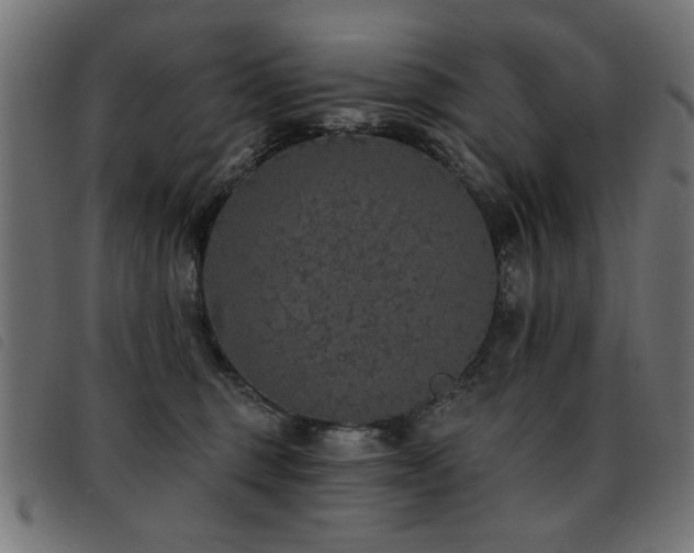 X0000093450375200710121359