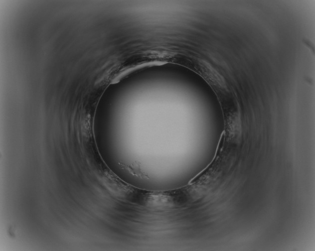 X0000093450376200710121359