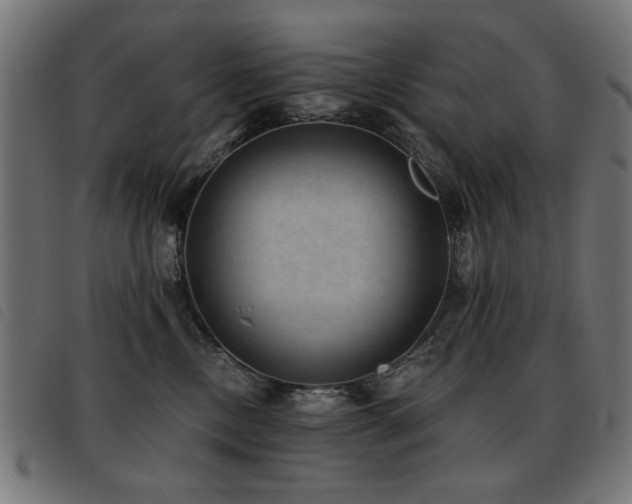 X0000093450378200710121359