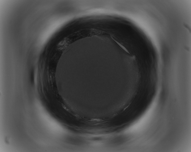 X0000093450382200710121359