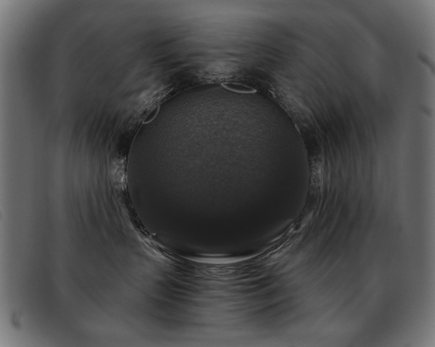 X0000093450383200710121359