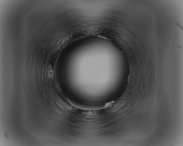 X0000093450384200710121359