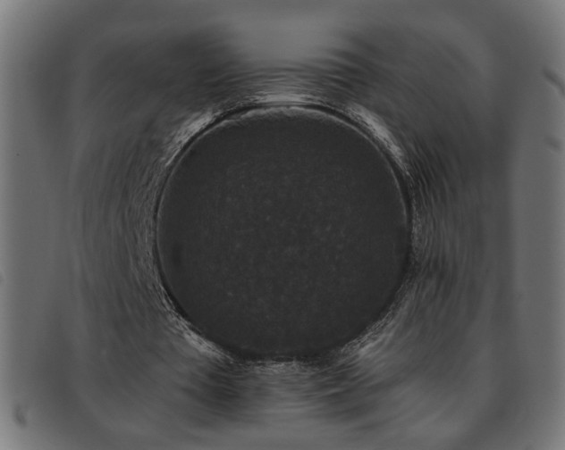 X0000093450385200710121358