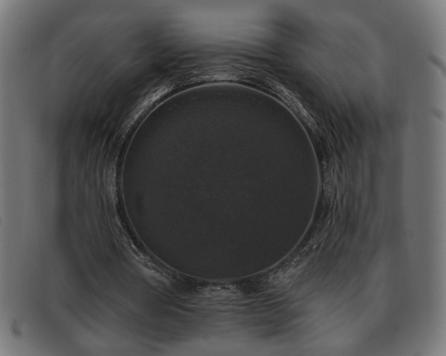 X0000093450386200710121358