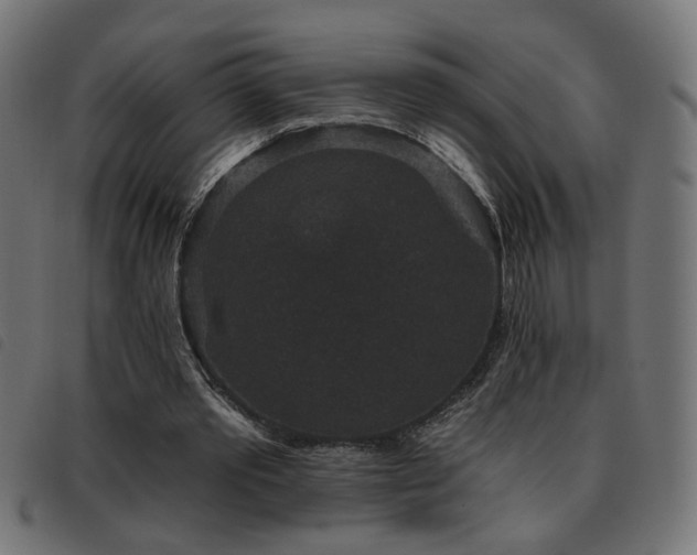 X0000093450389200710121358