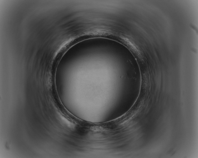 X0000093450392200710121358