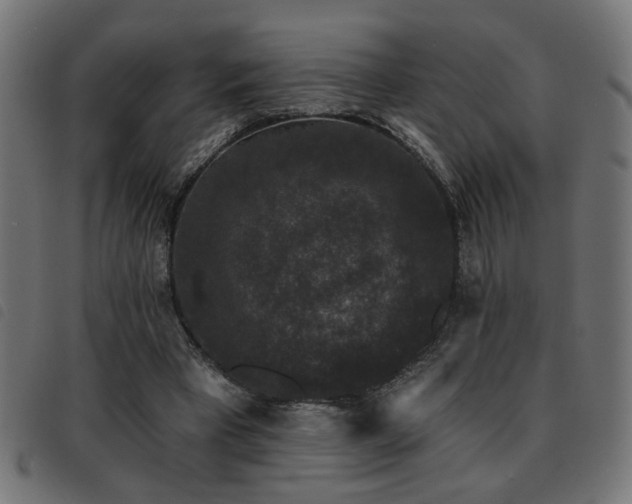 X0000093450393200710121358