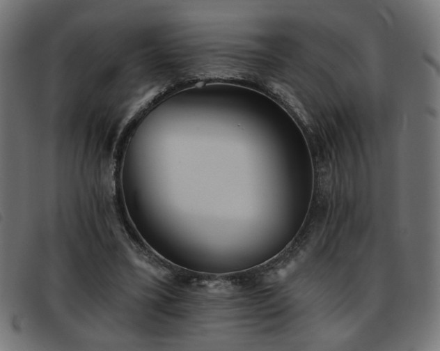 X0000093450395200710121358