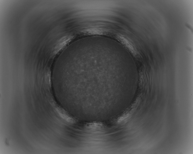 X0000093450398200710121358
