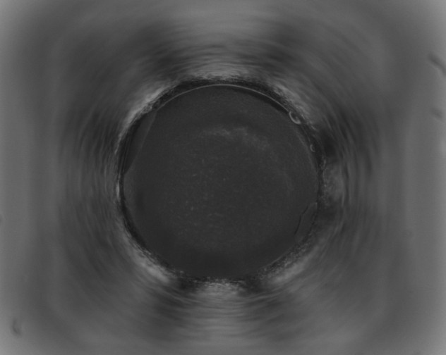 X0000093450399200710121358