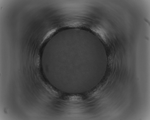 X0000093450400200710121358