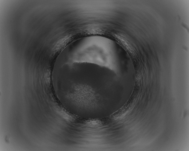 X0000093450402200710121358