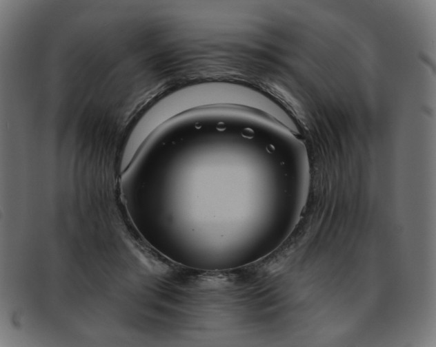 X0000093450405200710121358