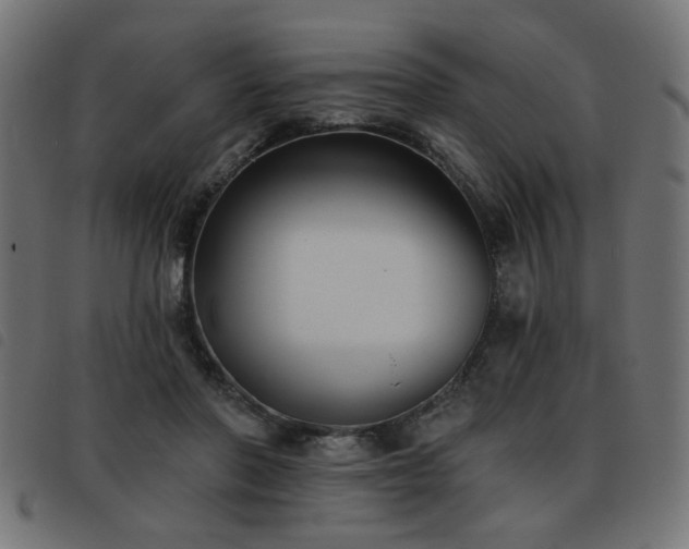 X0000093450406200710121358