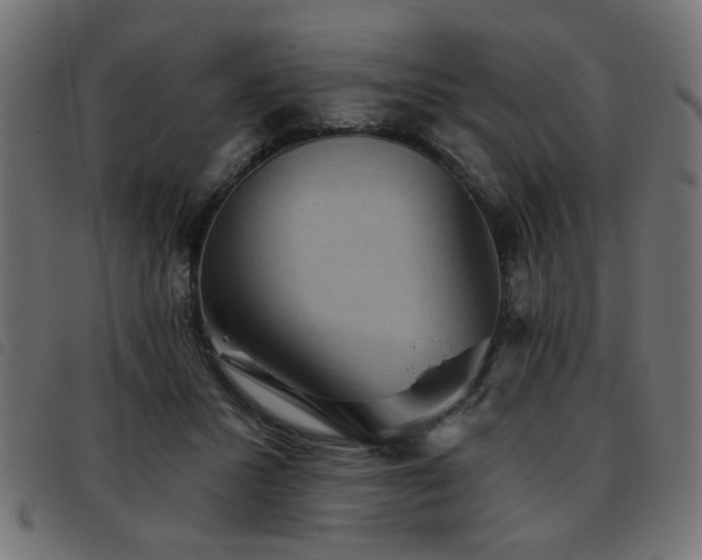X0000093450407200710121358
