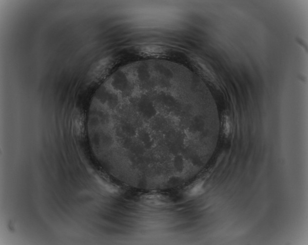 X0000093450408200710121358