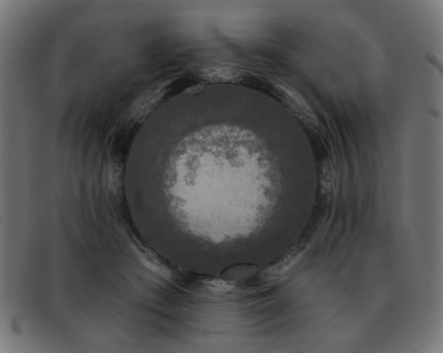 X0000093450409200710121358
