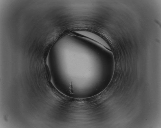 X0000093450411200710121358