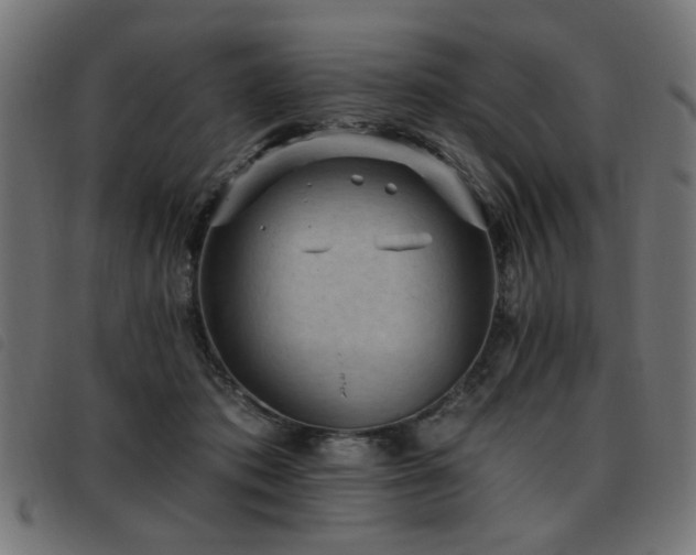X0000093450413200710121358