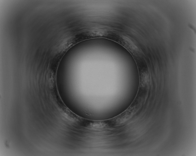 X0000093450414200710121358