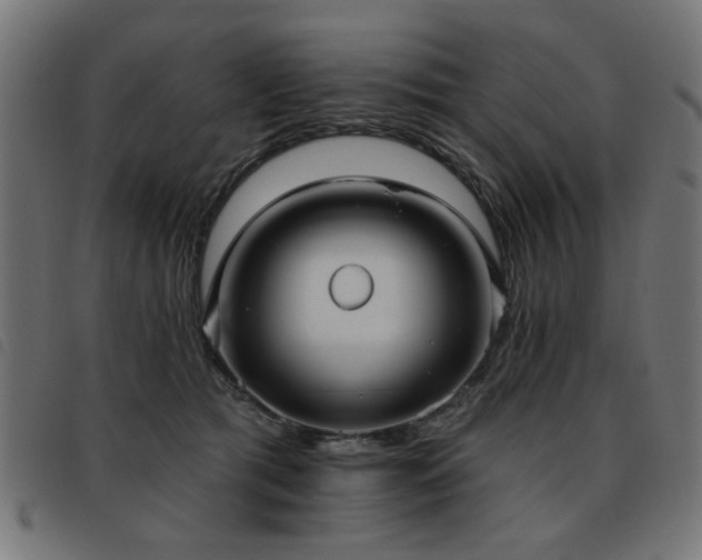 X0000093450417200710121358