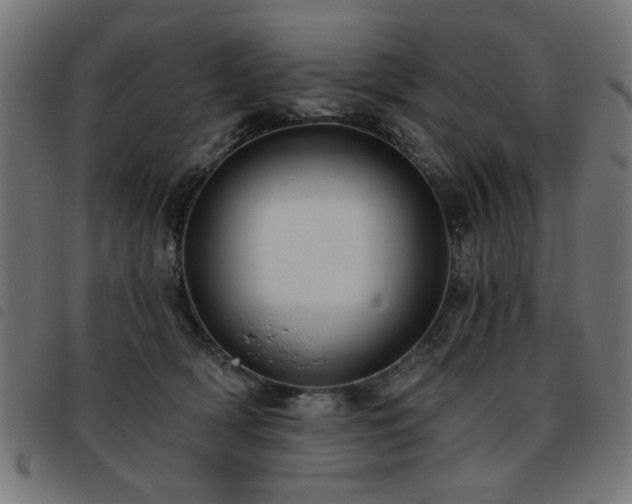X0000093450418200710121358