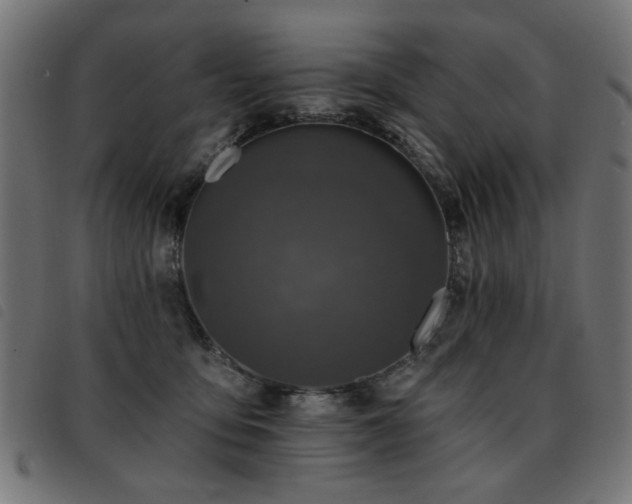 X0000093450419200710121358