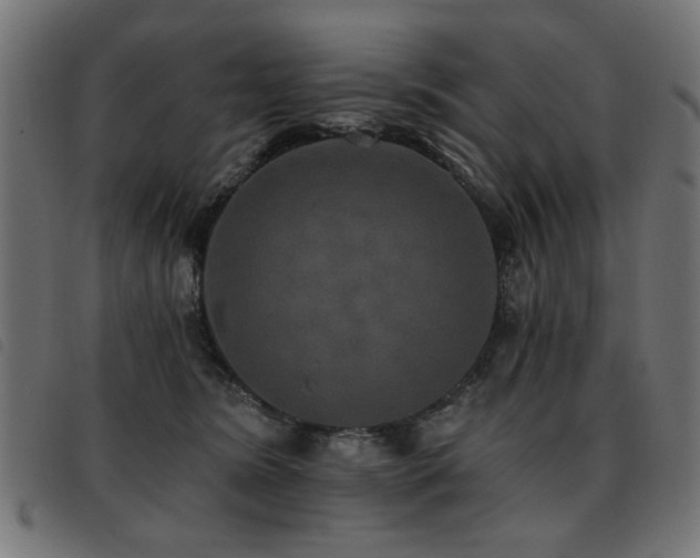 X0000093450420200710121358
