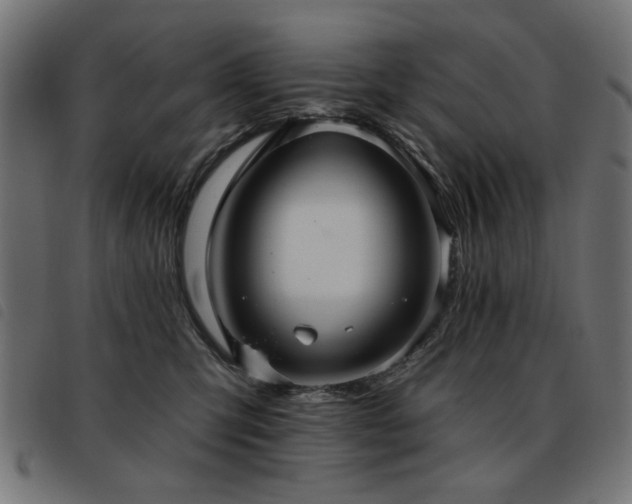 X0000093450423200710121358