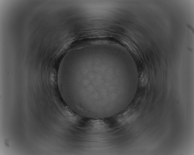 X0000093450424200710121358